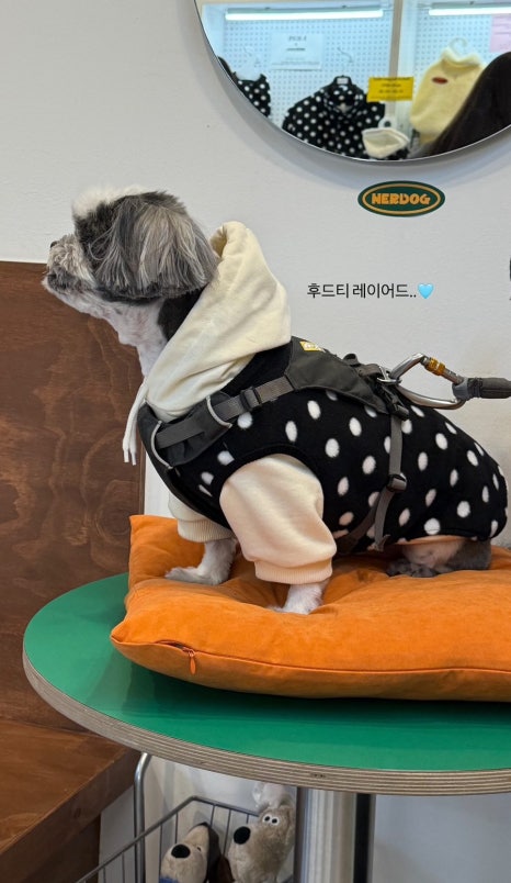 널독(NERDOG) 이미지
