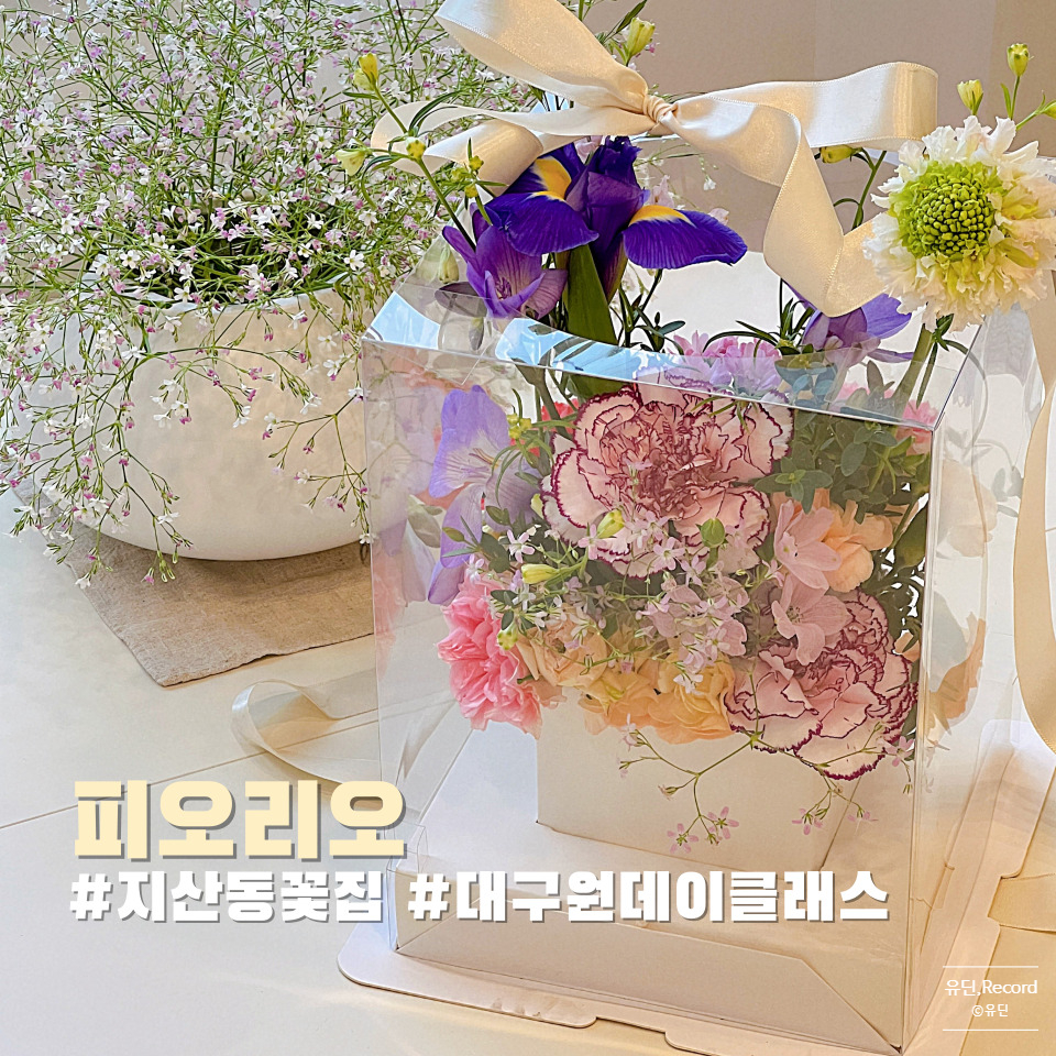 피오리오 이미지