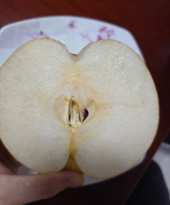 대남농원 이미지