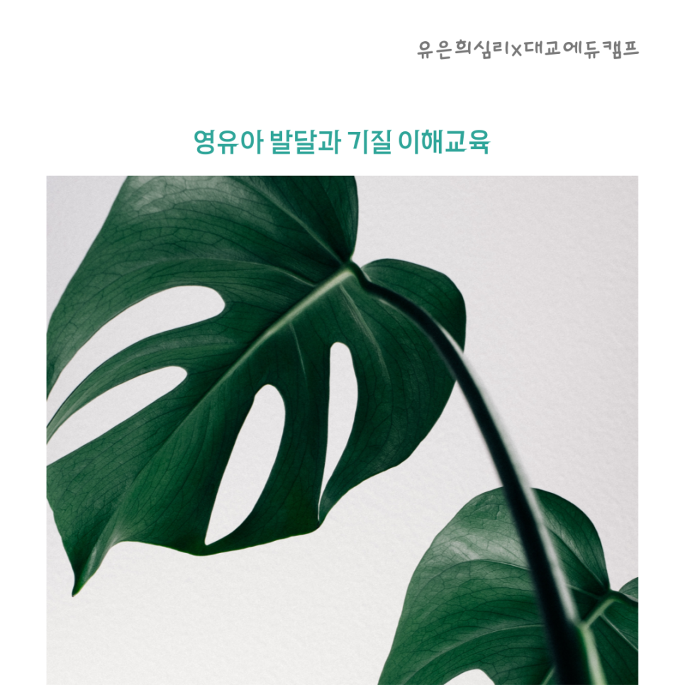 대교에듀캠프주 이미지