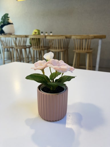 광안리보울스포케샐러드 이미지
