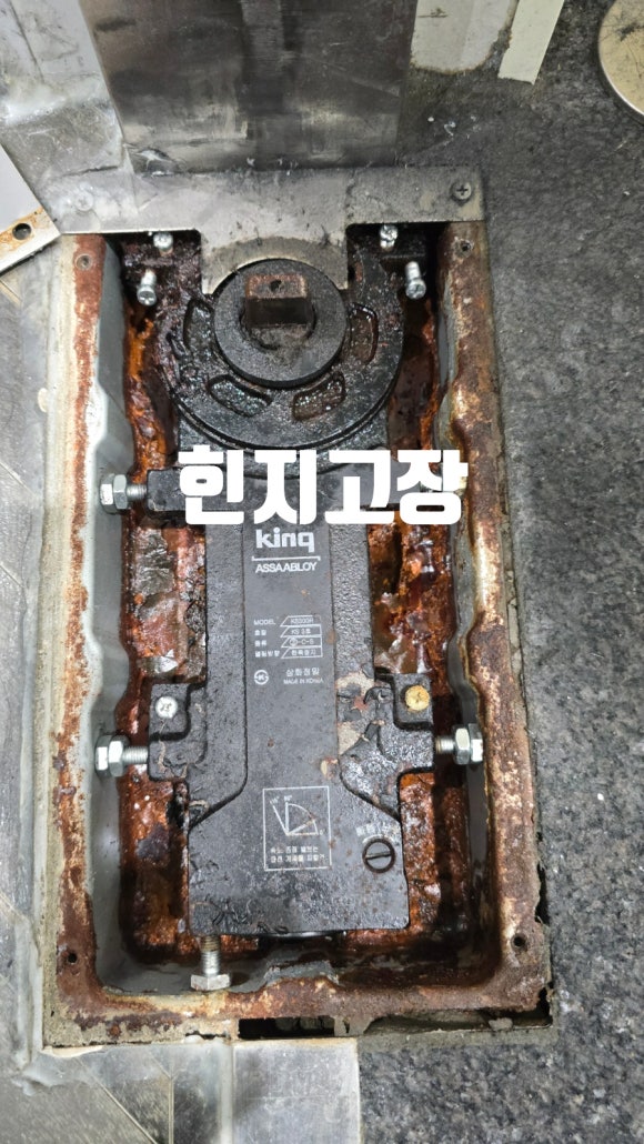 에이치포레 이미지