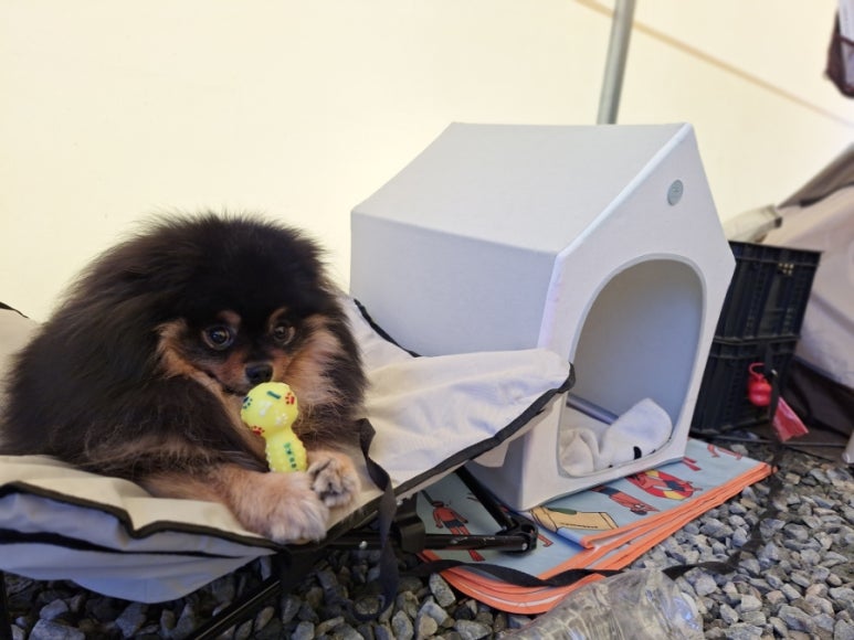 이너크네일 이미지