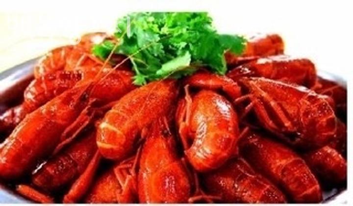 백옥양꼬치 이미지