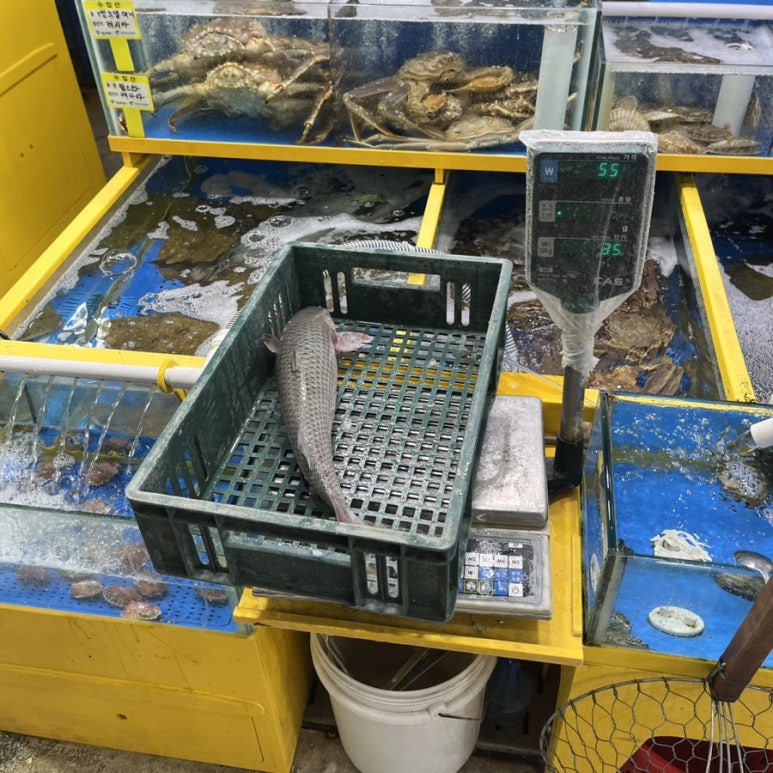 오만가지수산 이미지