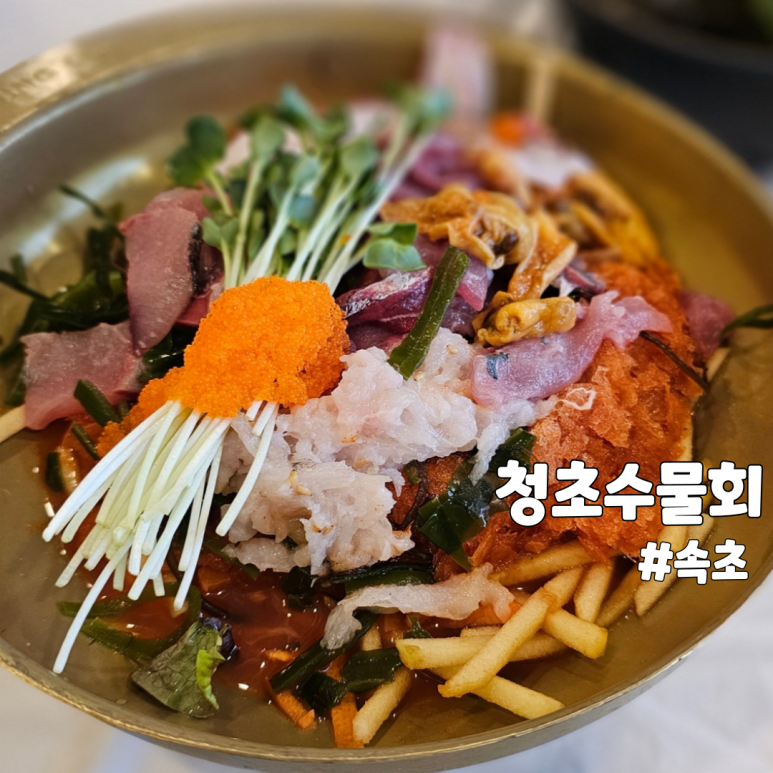 속초비치호스텔 이미지