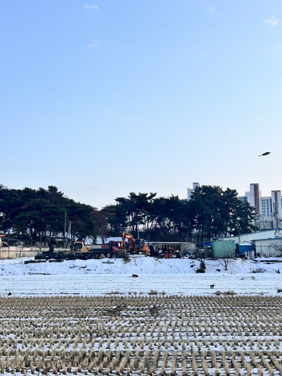 달빛에구운고등어 부안점 이미지