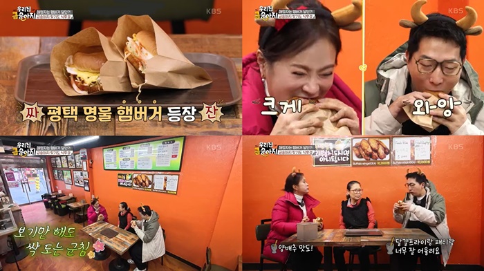 금송아지 이미지