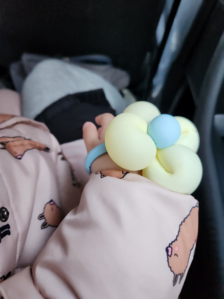 테테루 드림랜드 이미지