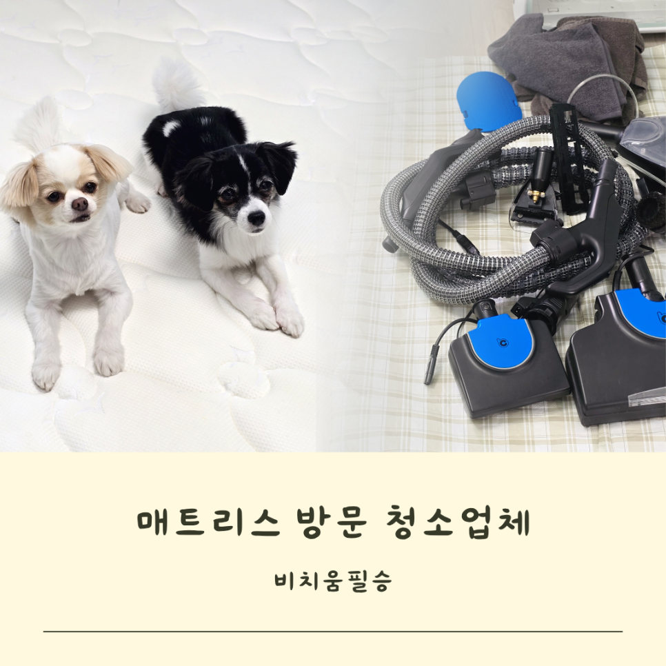 비치움홈스마트케어 이미지