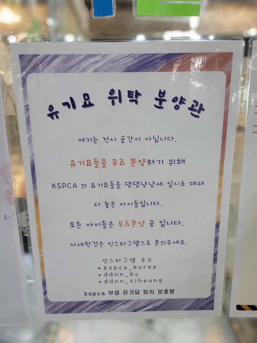 댕댕냥냥부천점 이미지