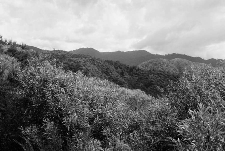 보석관광(주) 이미지