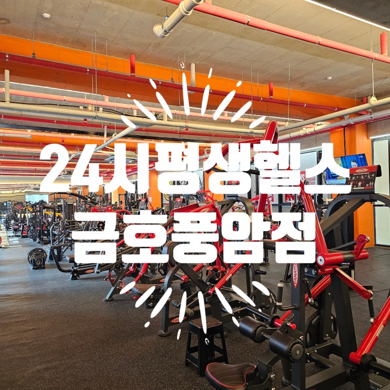 24시평생헬스금호풍암점 이미지