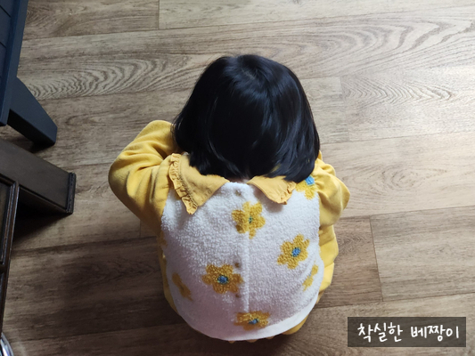 착실한베짱이 이미지
