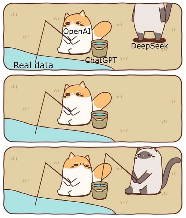 시크(Seek) 이미지