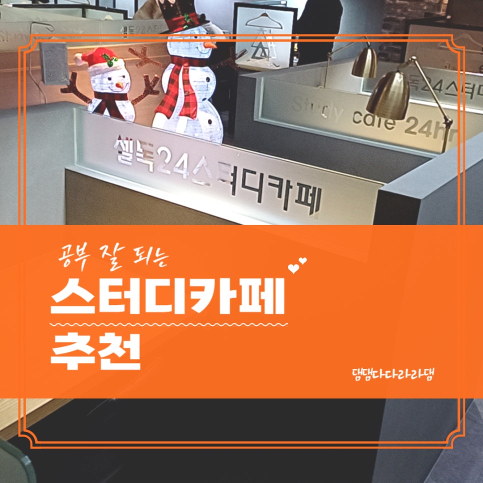 셀독24시스터디카페 이미지