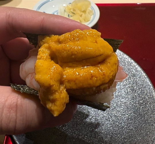 스시이로 이미지