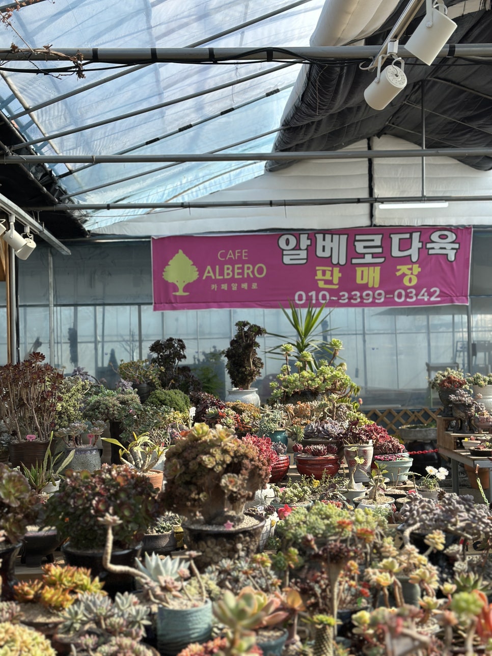 알베로 베이커리 이미지