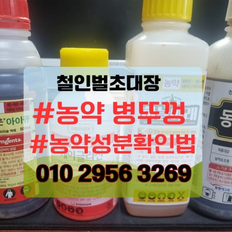 철인벌초대장 이미지