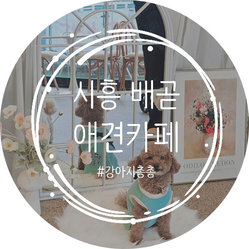 강아지총총 이미지