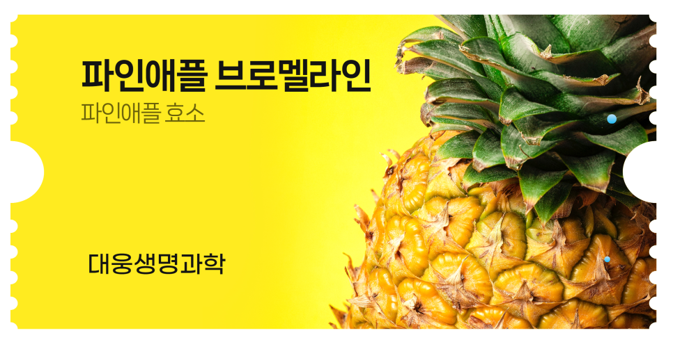 50대 건강 관리, ‘파인애플 효소’ 브로멜라인이 필요한 이유 이미지 3