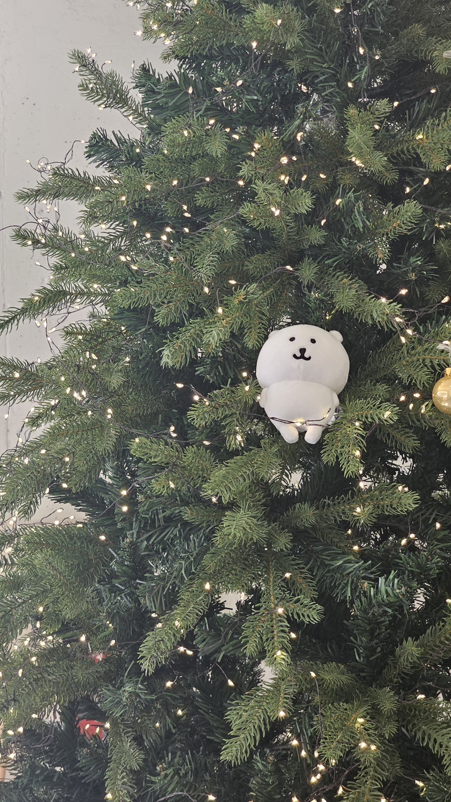 카페수르 이미지