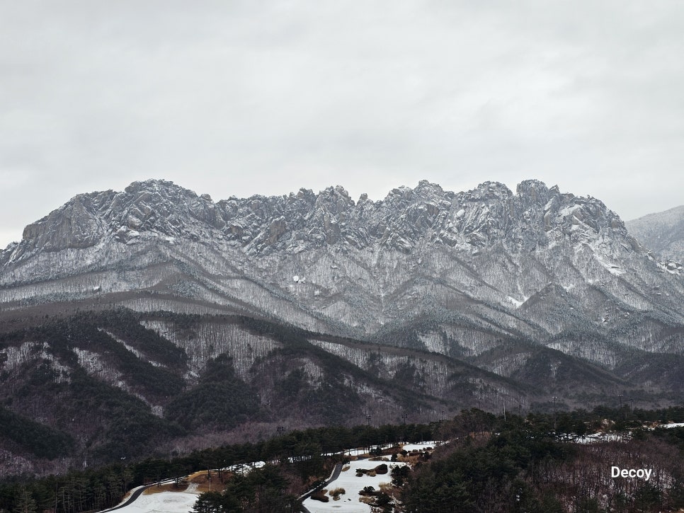 콩서리한우 이미지