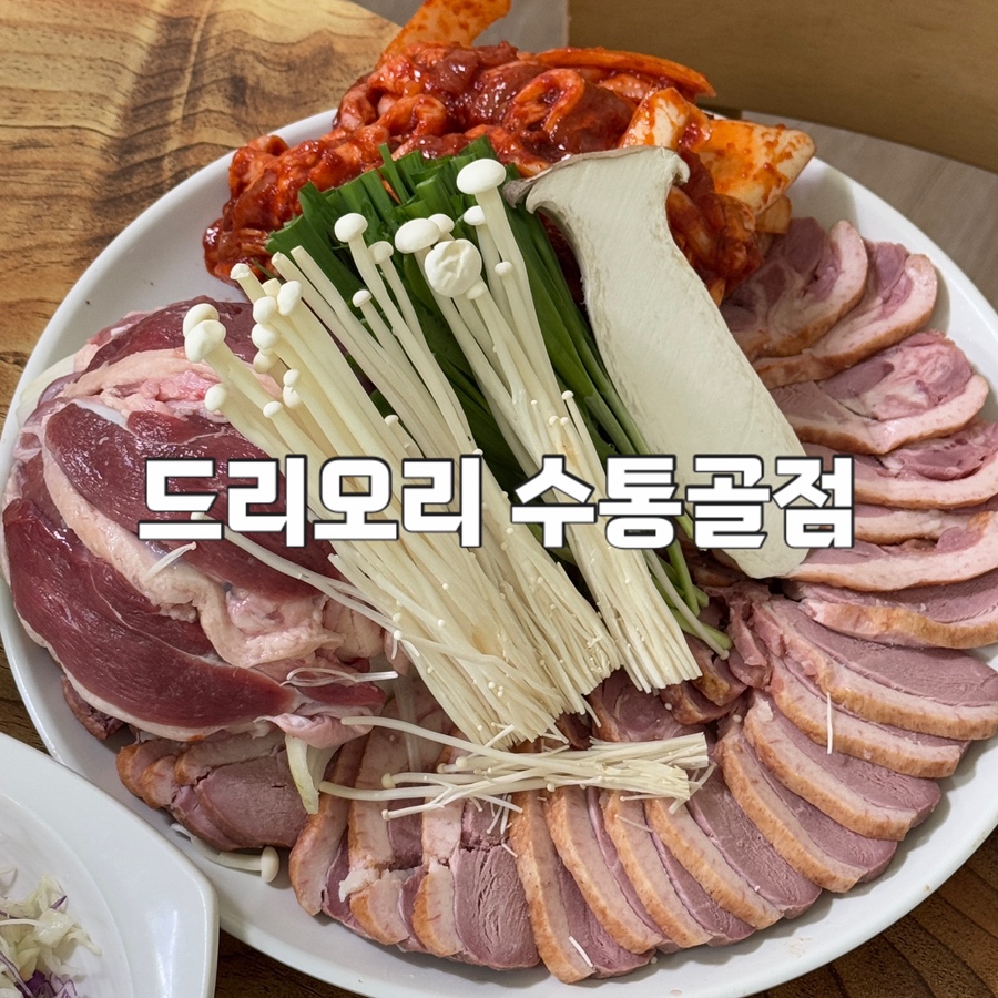 복드리오리 이미지