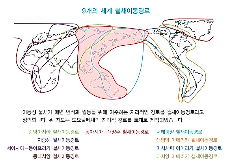 댕기머리방 이미지