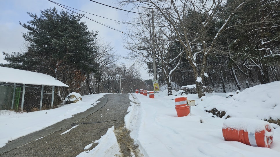 루나221 이미지