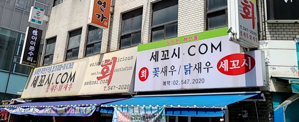 독도닷컴 이미지