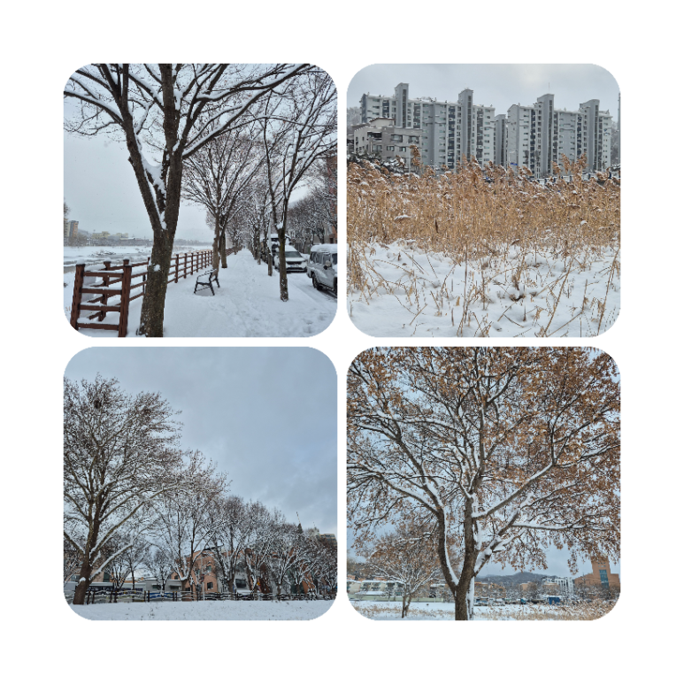 복테라피 이미지