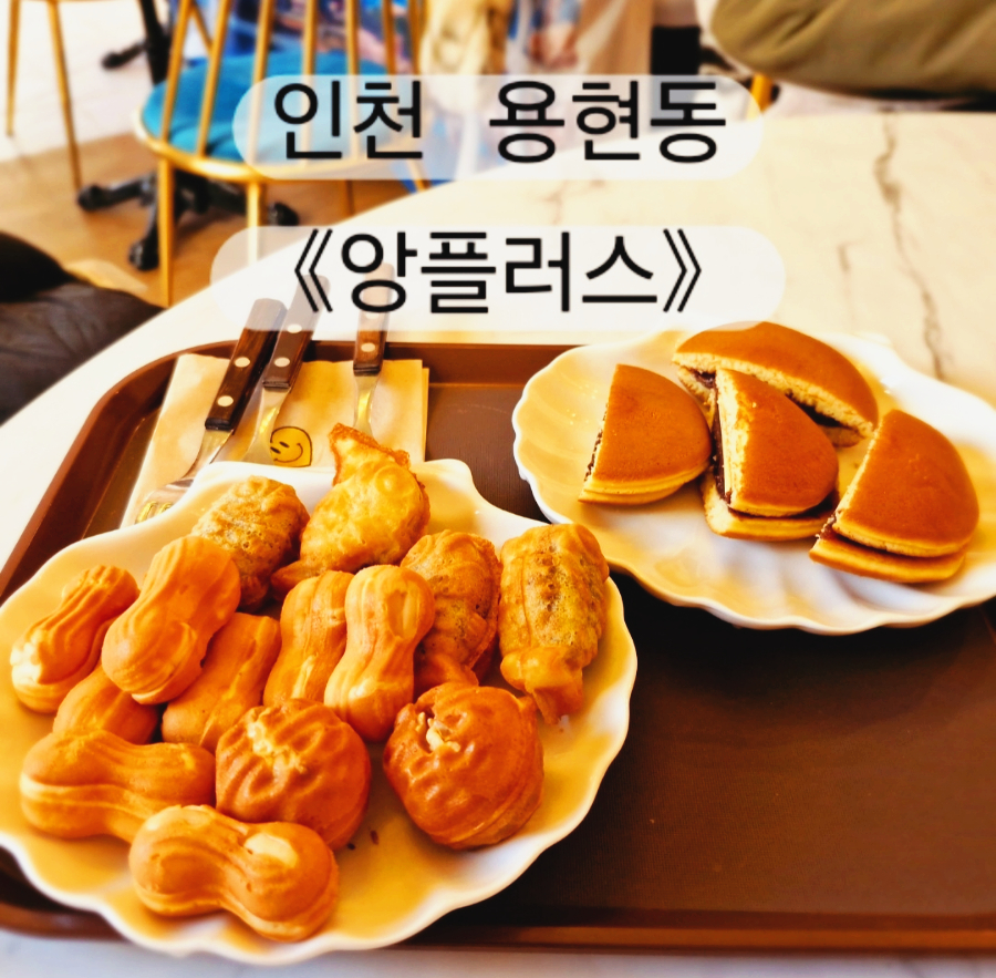 앙플러스 이미지