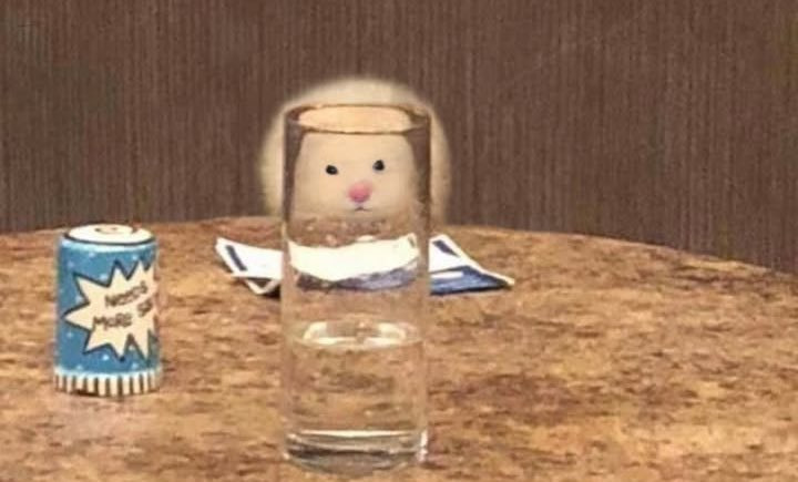 엄마몰래 이미지