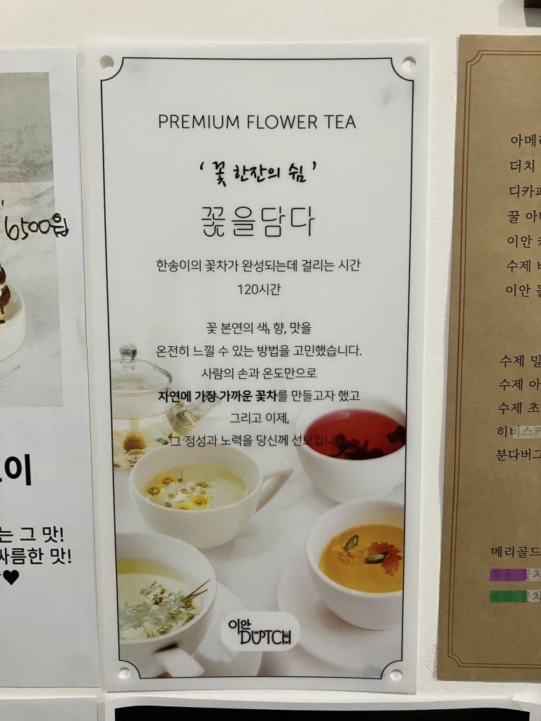 이안더치 이미지