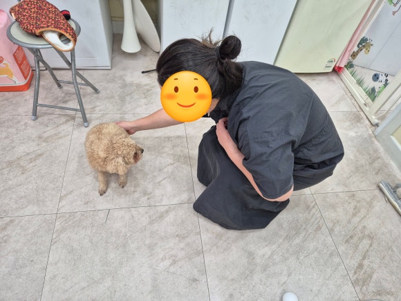 마이티그루밍 이미지