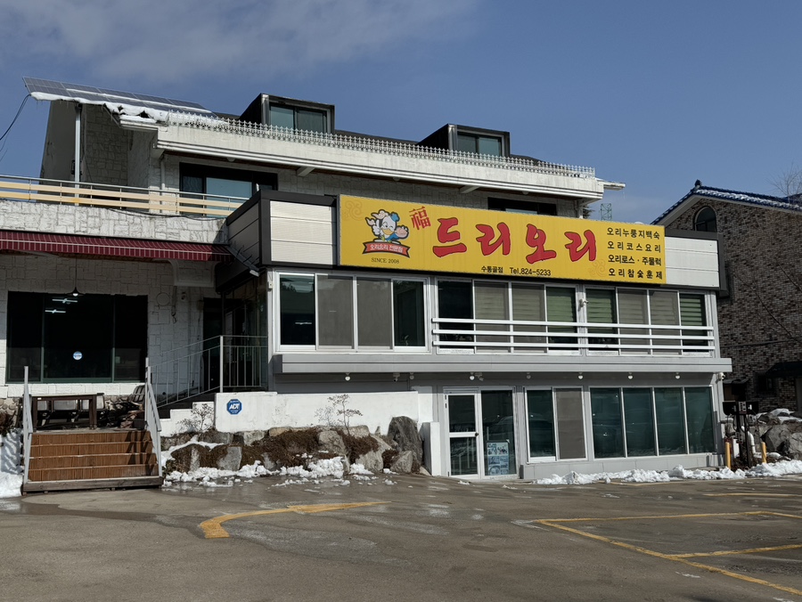 복드리오리 이미지
