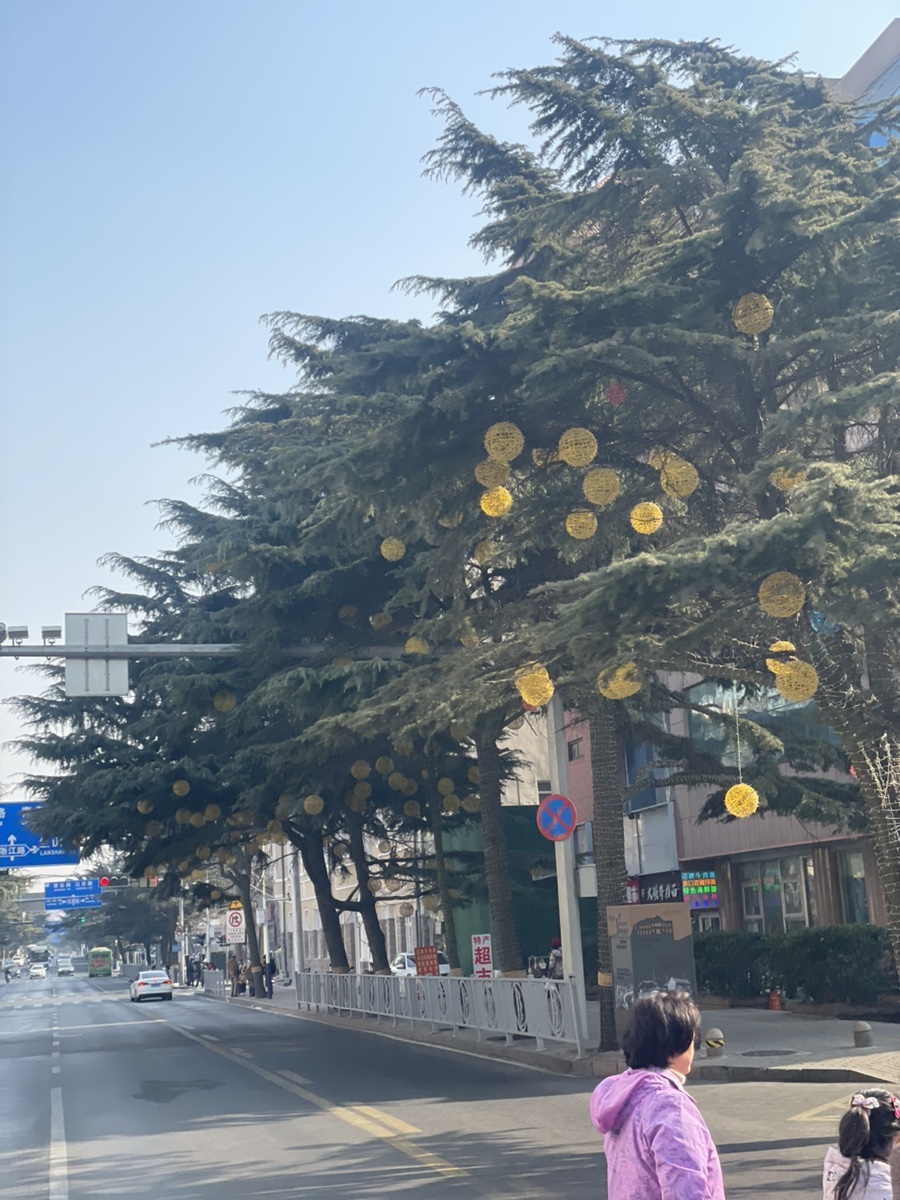 잔교하우스 이미지