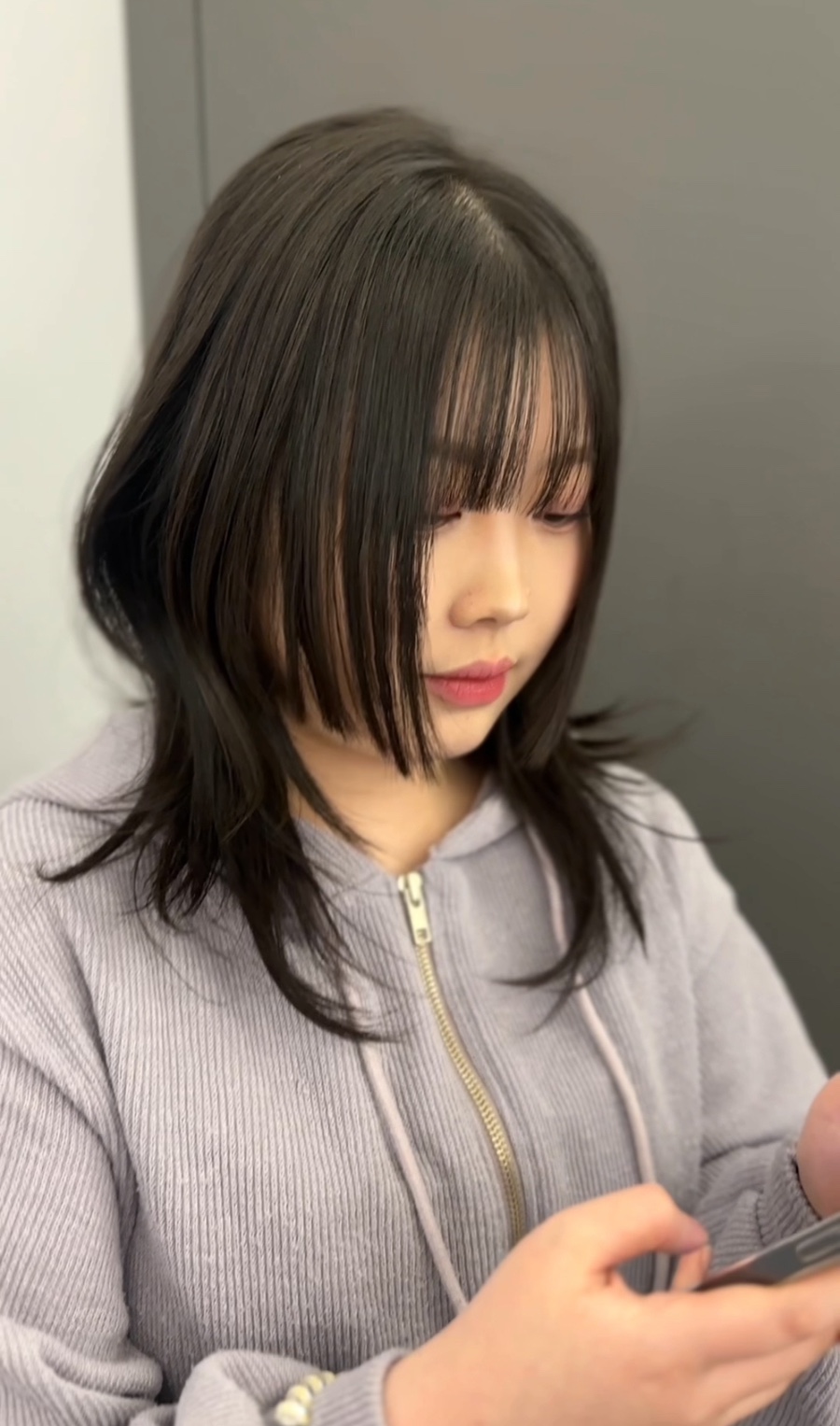 젤라 이미지