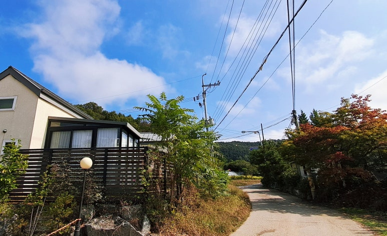 아인스메디칼 이미지