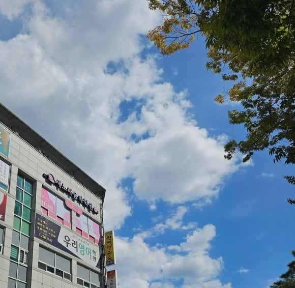 리슈빌음악학원 이미지