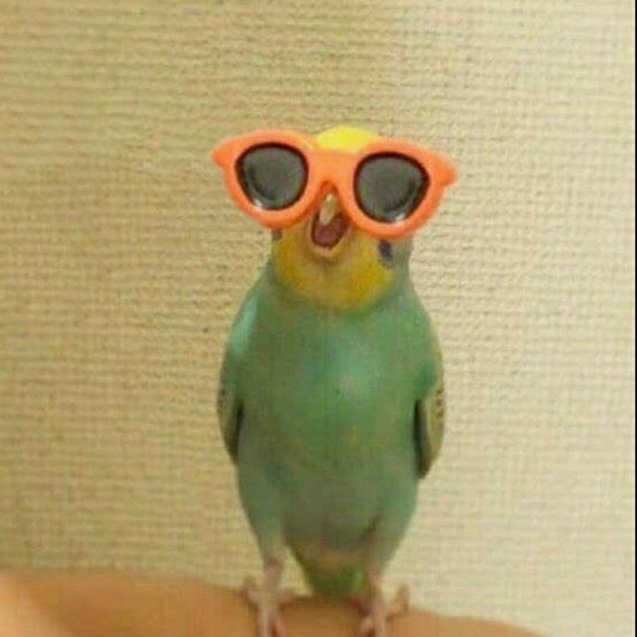 첫인상 이미지