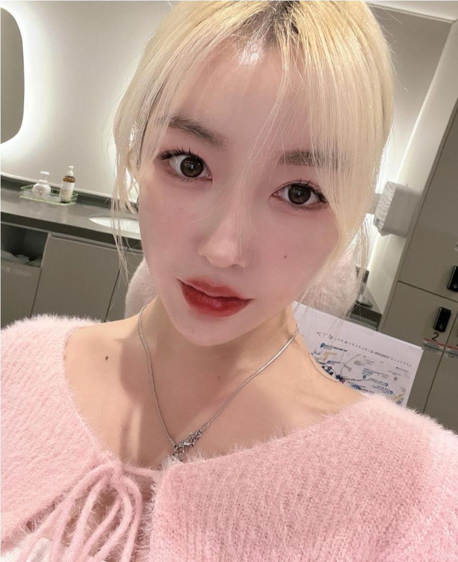 엘라스틴신사역점 이미지