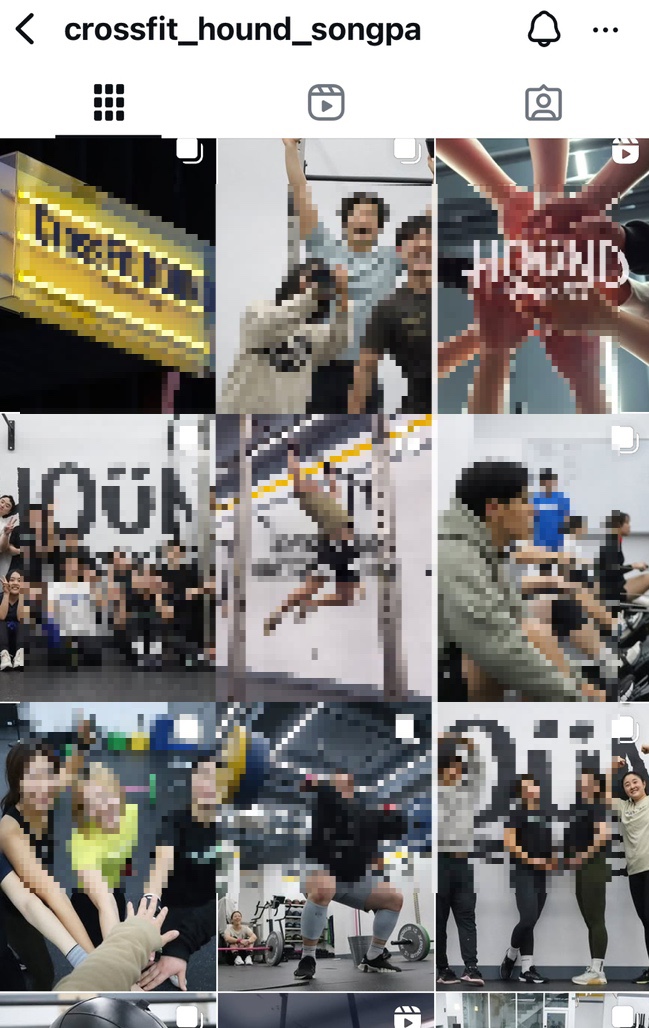 크로스핏하운드 이미지