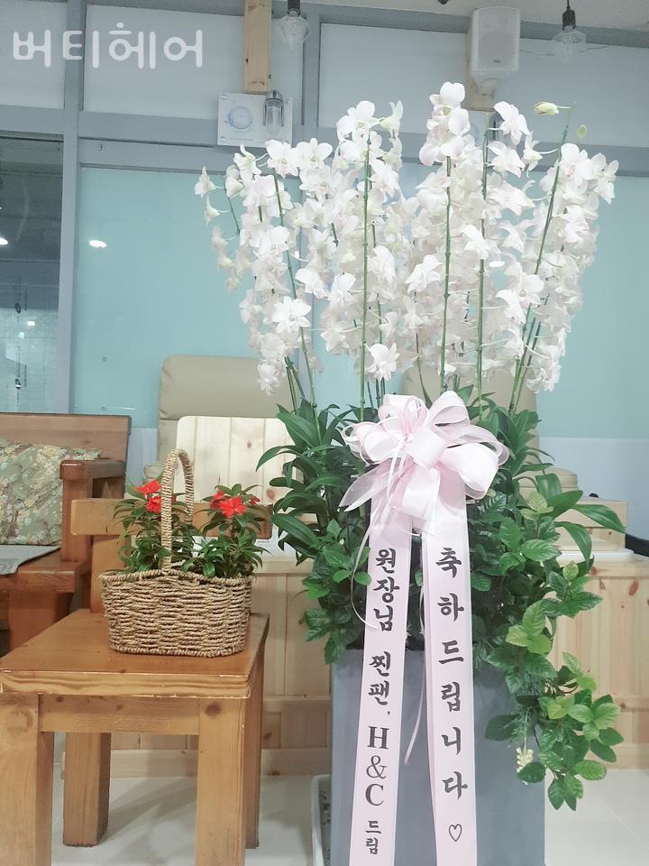 버티헤어 이미지