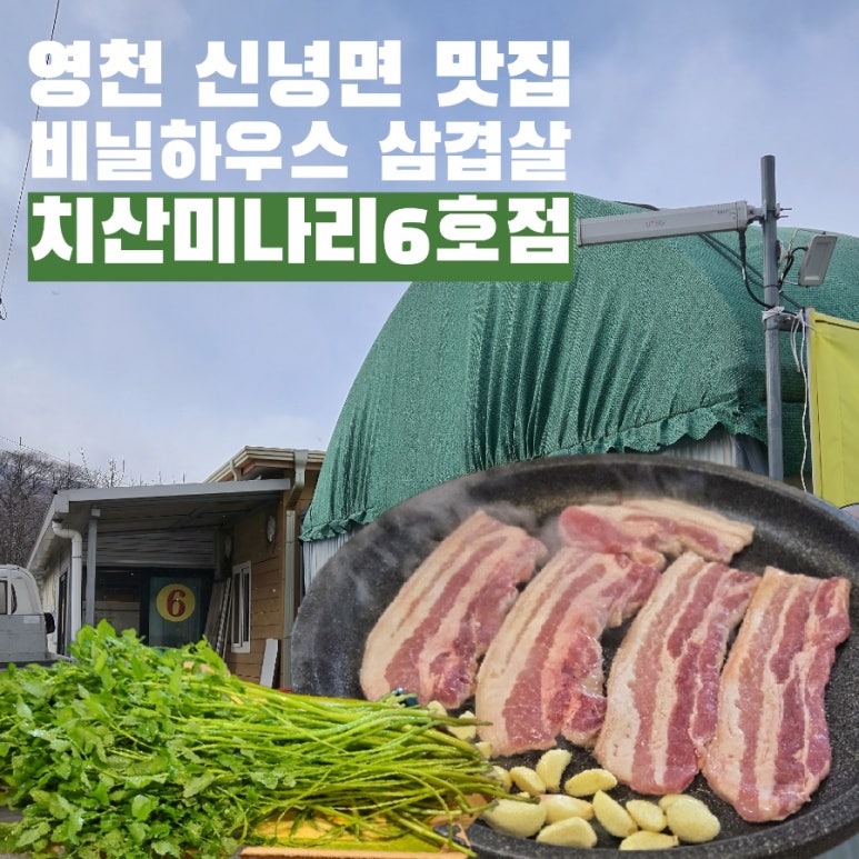 치산미나리 이미지