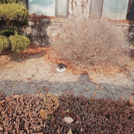 세무법인춘추 이미지