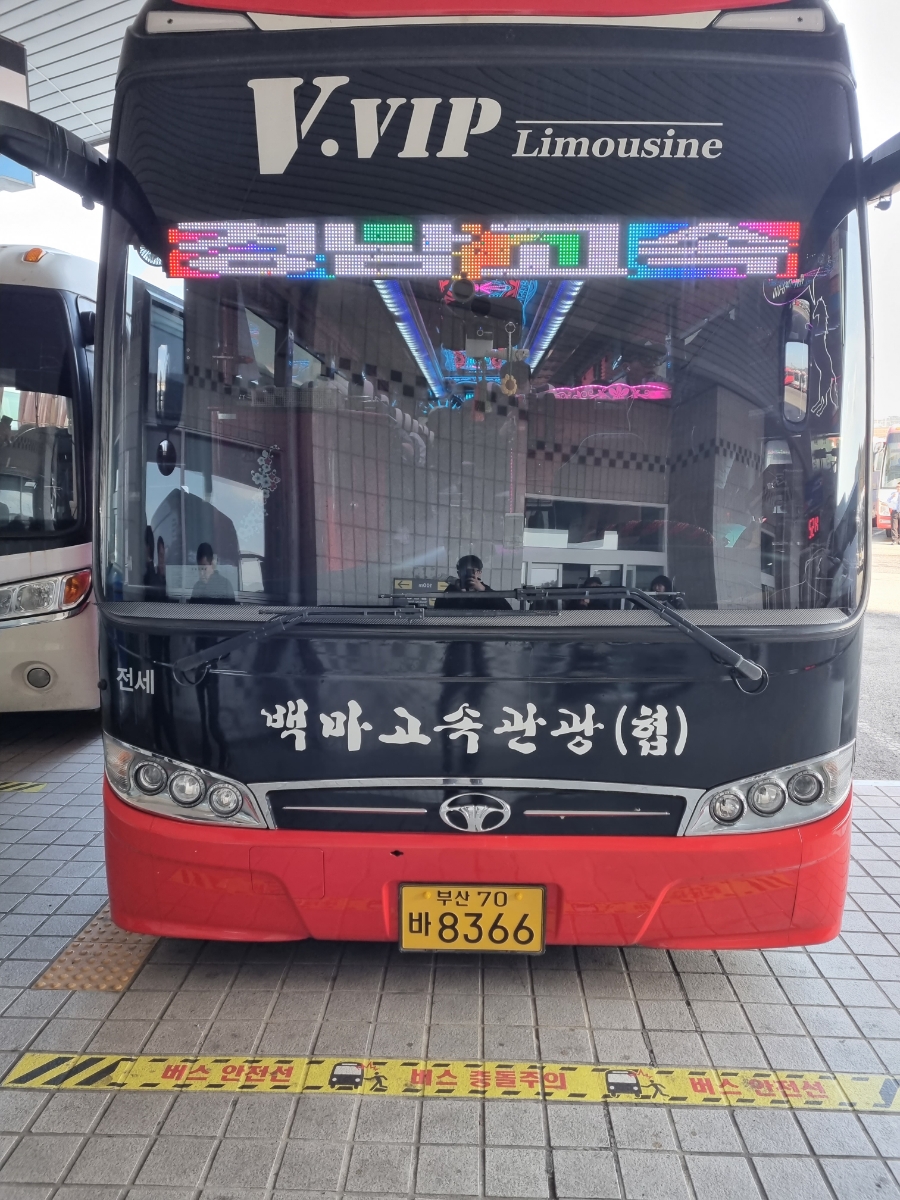 백마고속관광 이미지