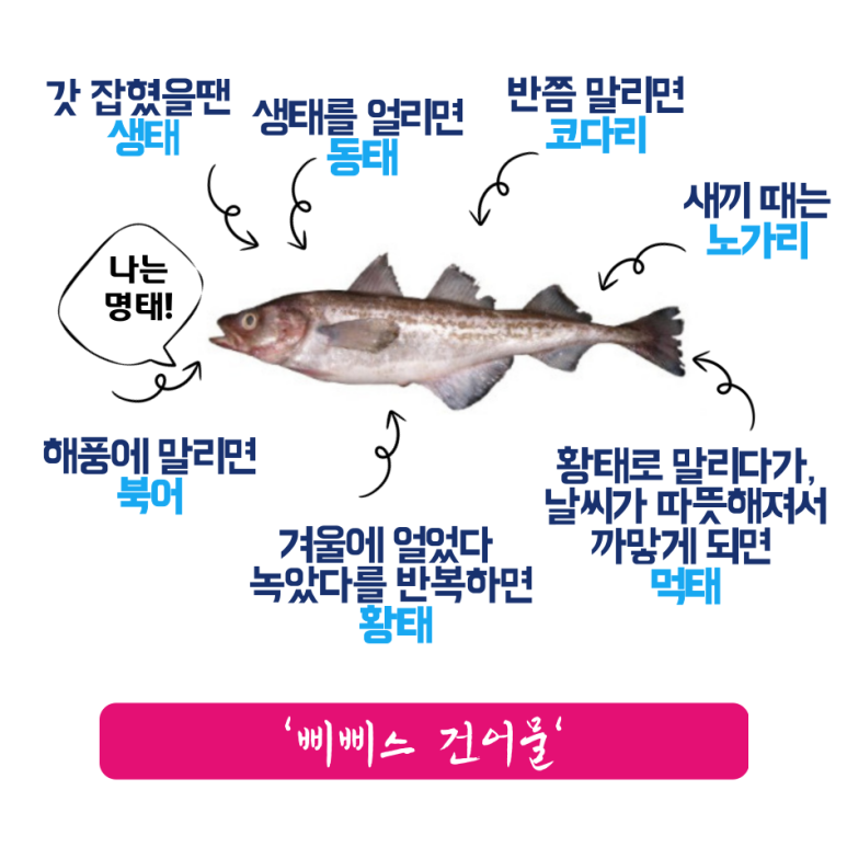 삐삐's건어물 이미지