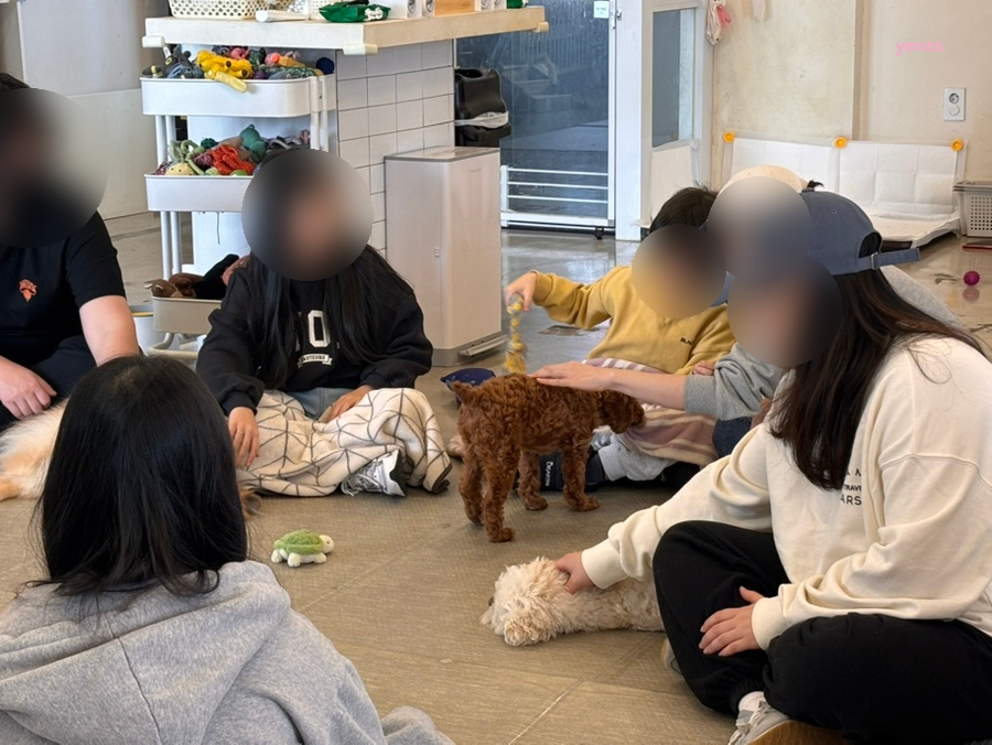 노다지 호프 이미지